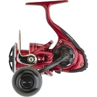 DAIWA BG RR LT 8000 PARK